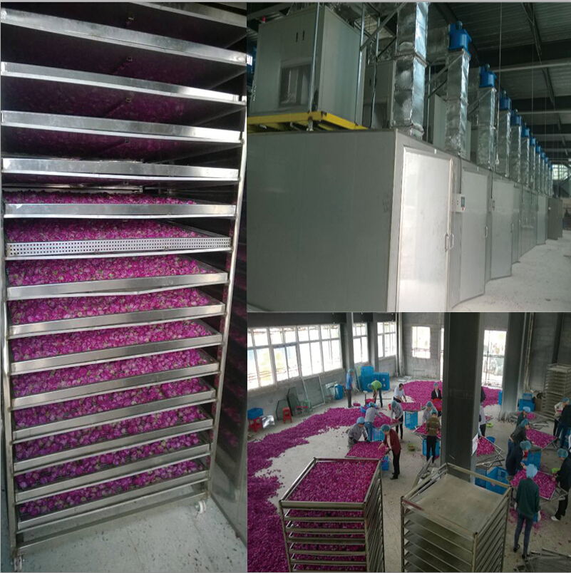 烘干工程 烘干工程